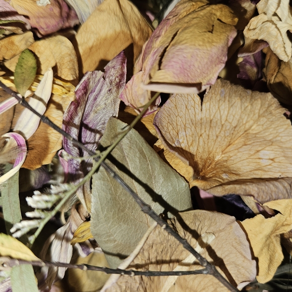 Dried Floral Petals Arrangement Mix Flower DIY Decoration - Picture 5 of 8